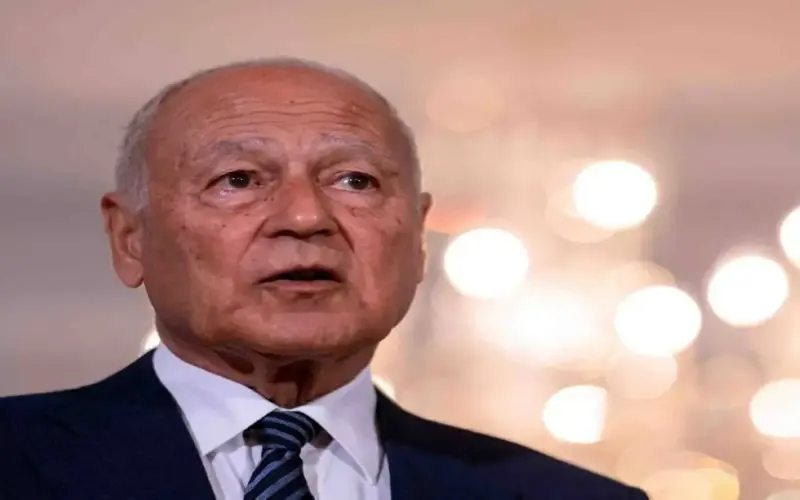 أبو الغيط يدين استهداف محيط «براكة» للطاقة النووية